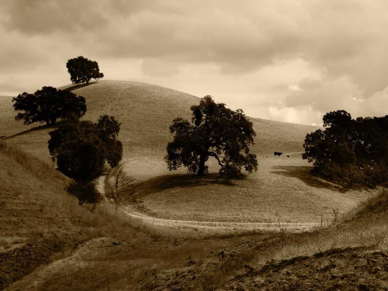 android screenshot 1