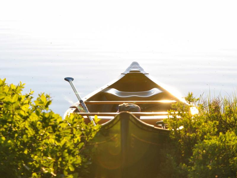 sudoku focus mode screenshot 2