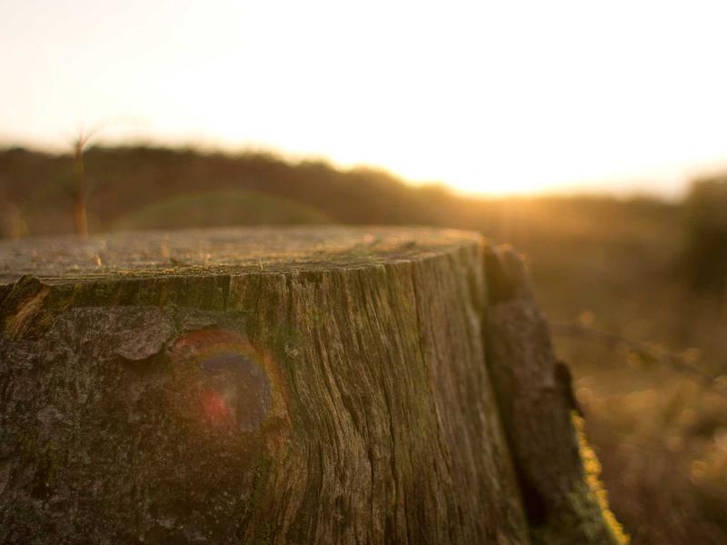 sudoku memory improvement screenshot 1